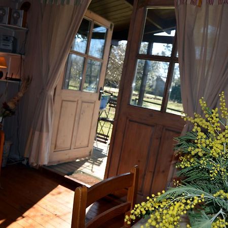 Gite Foret Landaise Sainte-Eulalie-en-Born Екстер'єр фото