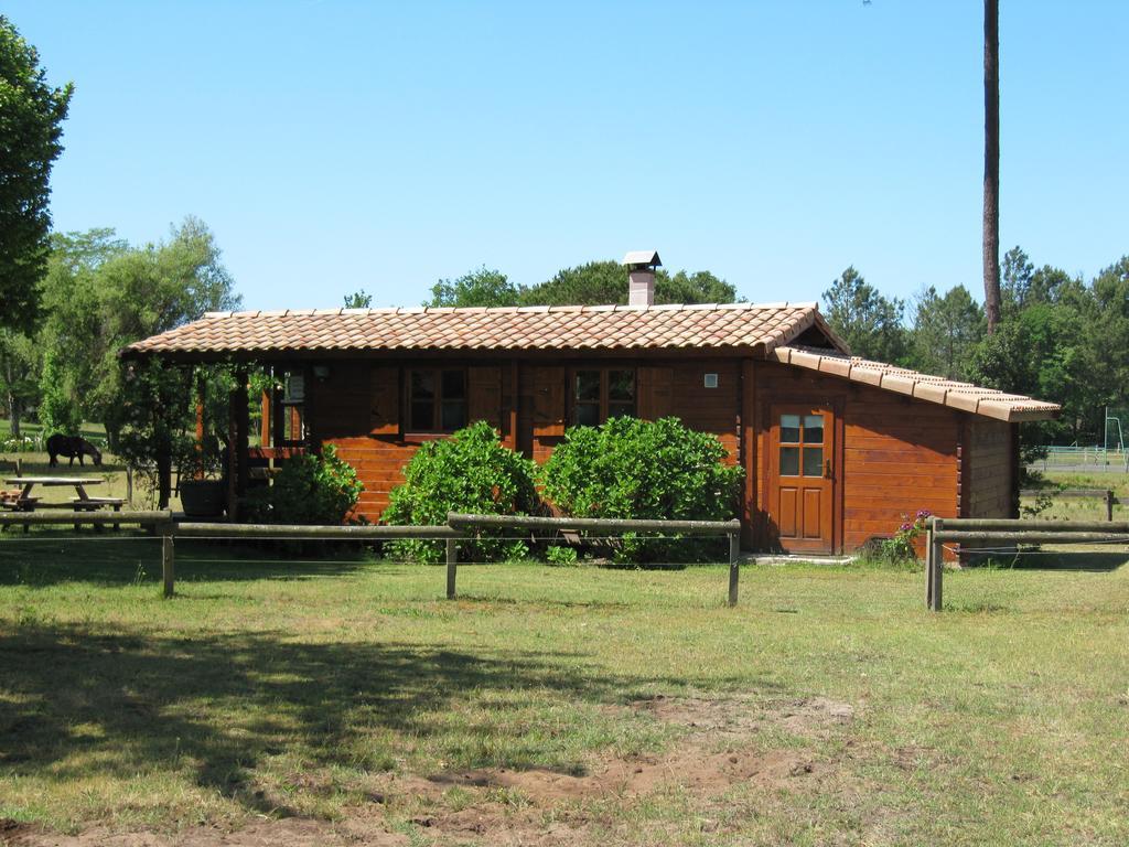 Gite Foret Landaise Sainte-Eulalie-en-Born Екстер'єр фото