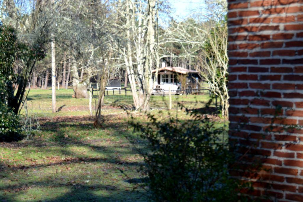 Gite Foret Landaise Sainte-Eulalie-en-Born Екстер'єр фото